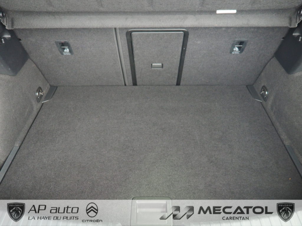 Cupra Leon 2.0 TDI 150 ch DSG7 V