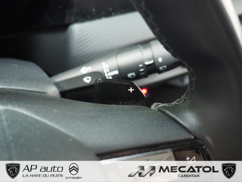 Ds DS 4 (2) E-TENSE 225 CROSS RIVOLI AUTO