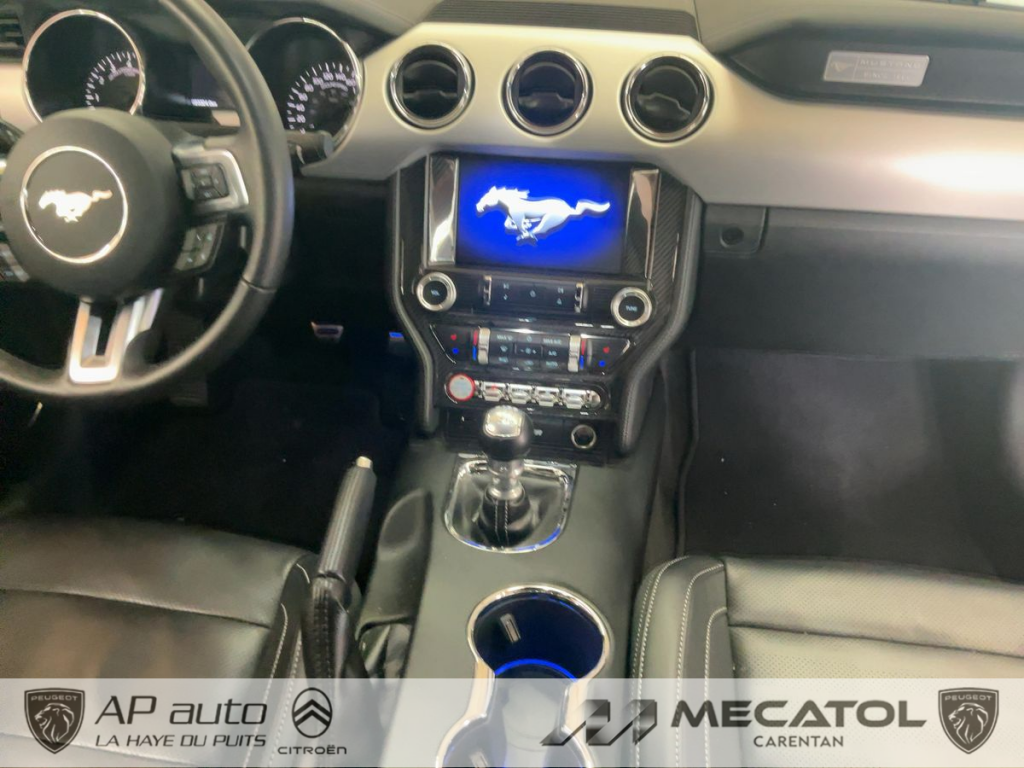 Ford Mustang (6) Fastback V8 BVM6 GT