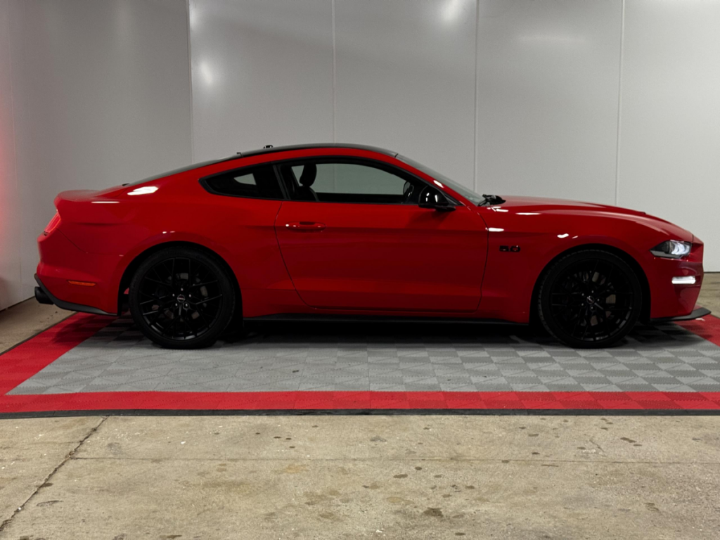 Ford Mustang (6) Fastback V8 BVM6 GT