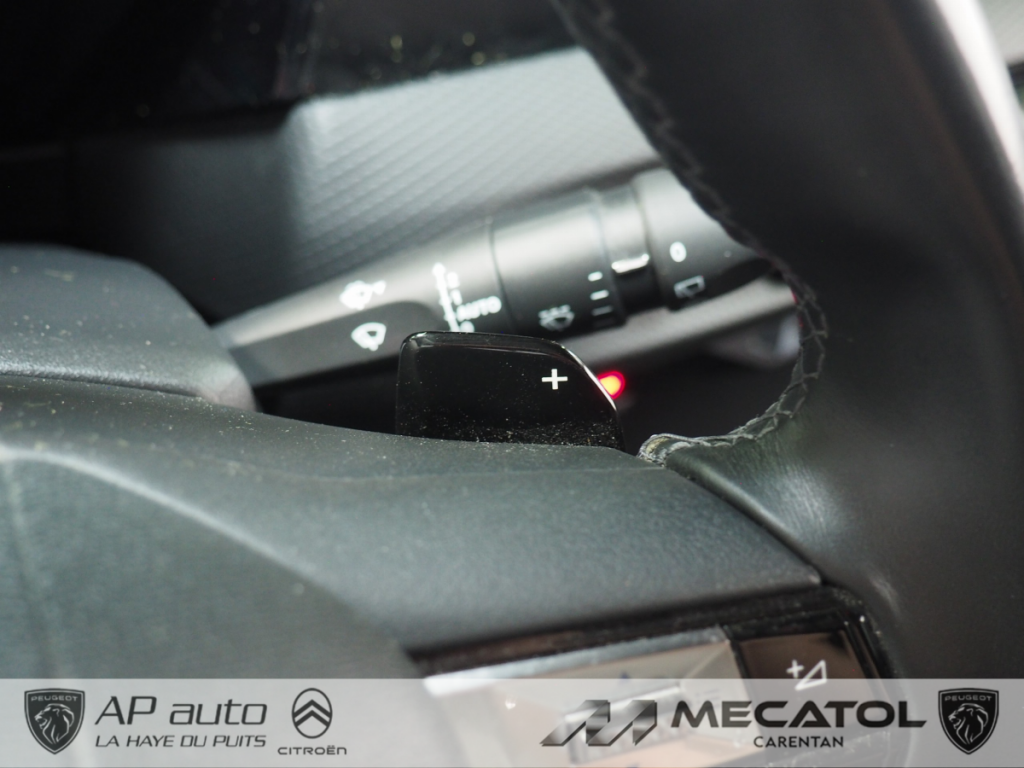 Ds DS 4 (2) E-TENSE 225 CROSS RIVOLI AUTO
