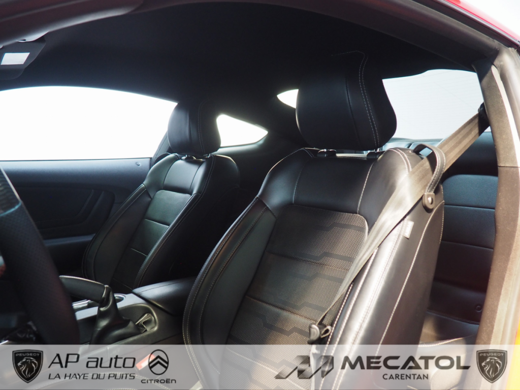 Ford Mustang (6) Fastback V8 BVM6 GT